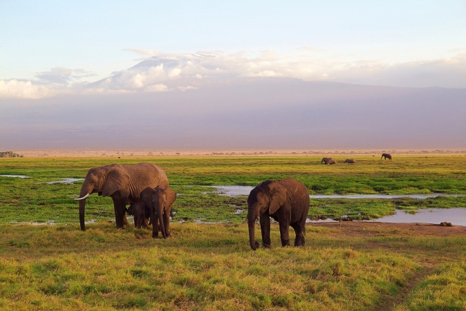 Kenia safari 4 giorni TOUR AFRICA