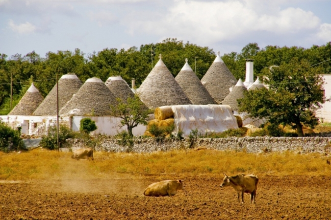 Tour in Puglia tra antichi borghi e masserie TOUR ITALIA