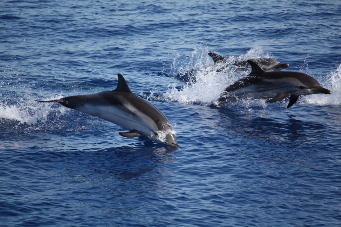 Tour in Puglia ''Tra Pescaturismo e Archeotour'' TOUR ITALIA