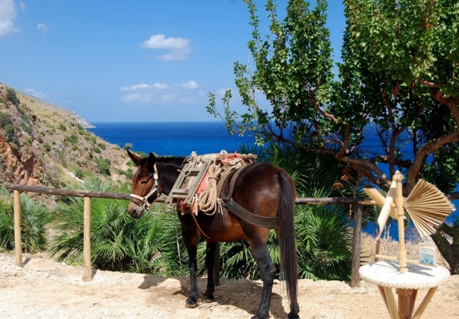 Tour sapori e colori nella Sicilia occidentale TOUR ITALIA