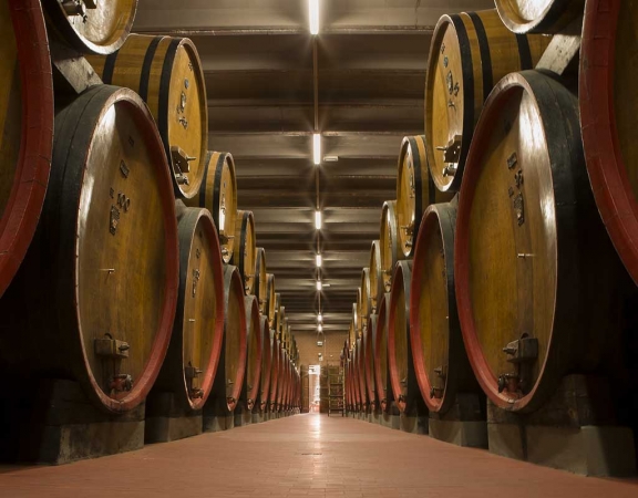 Tour tra cantine e Isole Egadi TOUR ITALIA