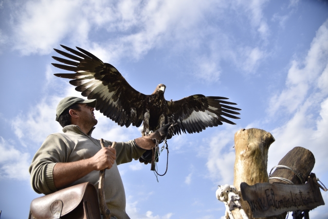 Trekking e Falconeria in Calabria TOUR ITALIA