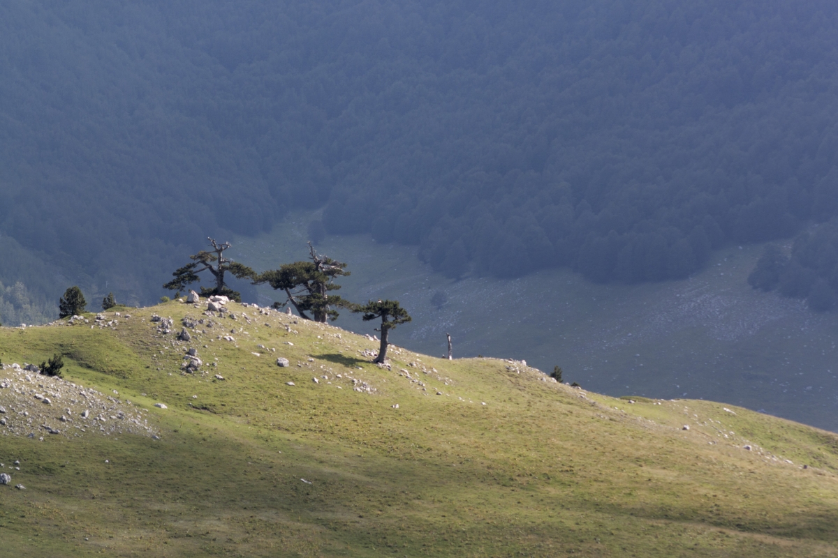 Trekking tra Borghi Sacri e Canyon Selvaggi di Calabria