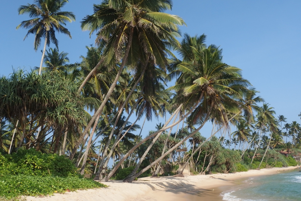 Tour Sri Lanka - Experience & Relax 