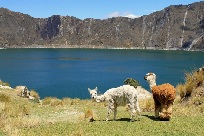 Tour Ecuador: viaggio nell'Avenida dei Vulcani TOUR AMERICA