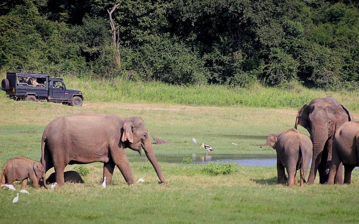 Sri Lanka, Cuore d’Isola – Dalle Antiche Città ai Parchi Selvaggi TOUR ASIA