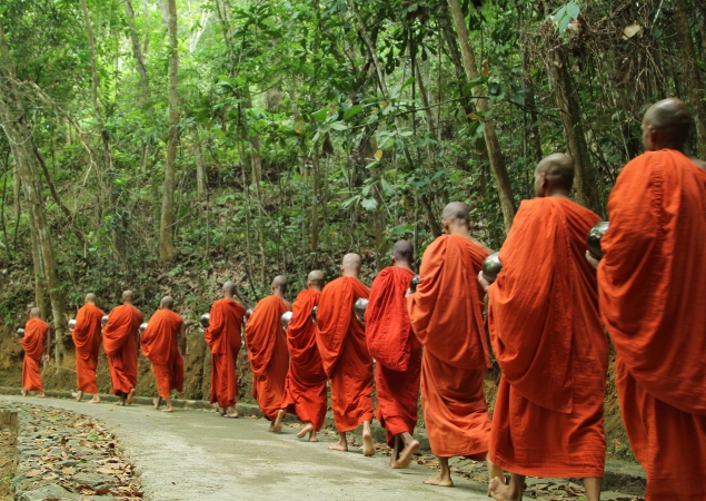 Sri Lanka: Tra Elefanti, Templi e Colline Incantate TOUR ASIA