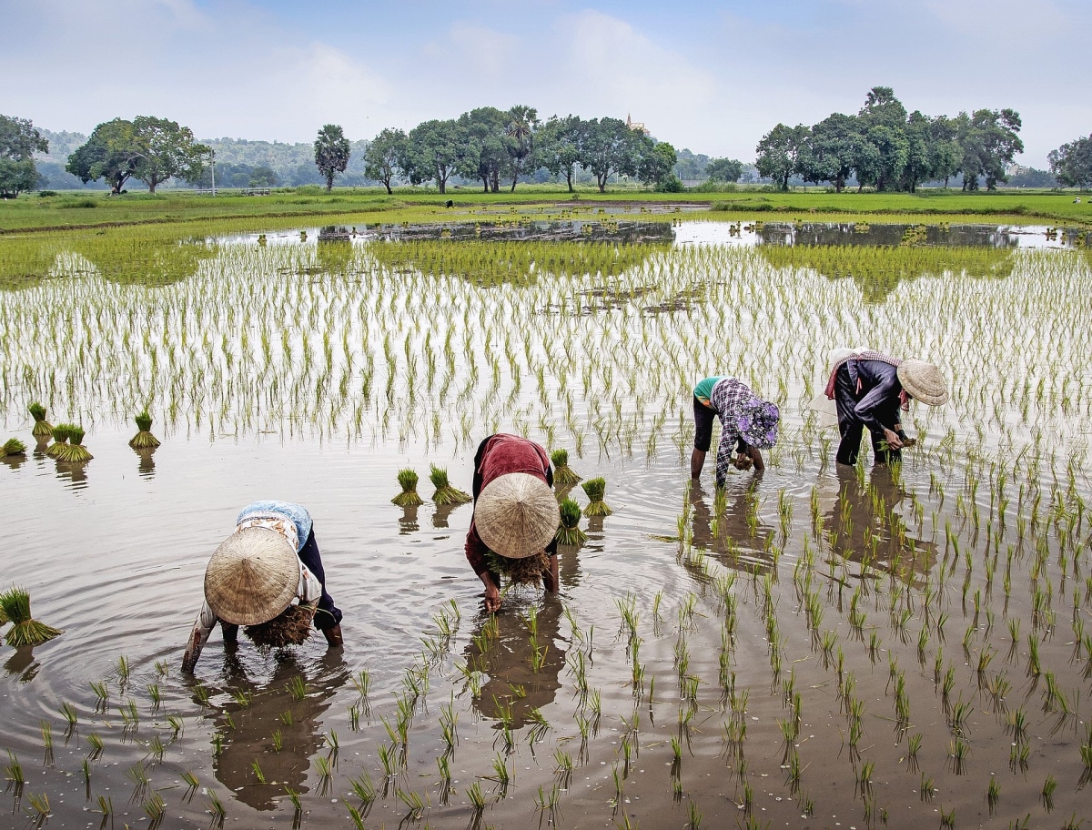 Vietnam: dalle Lanterne di Hoi An agli Abissi di Ha Long