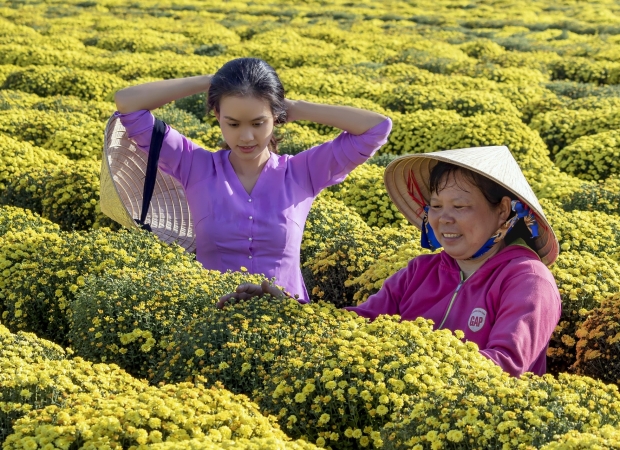 Vietnam Autentico: Incontro con la Sua Gente e Antiche Tradizioni TOUR ASIA